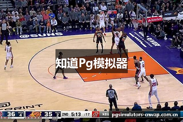 知道Pg模拟器